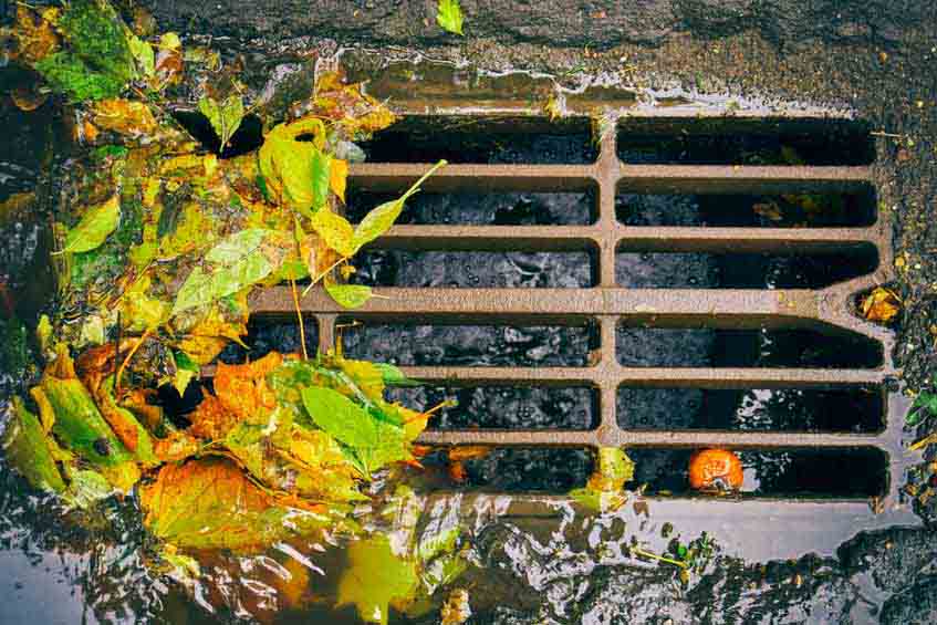 Why Sewer Inspections Are Necessary During Fall